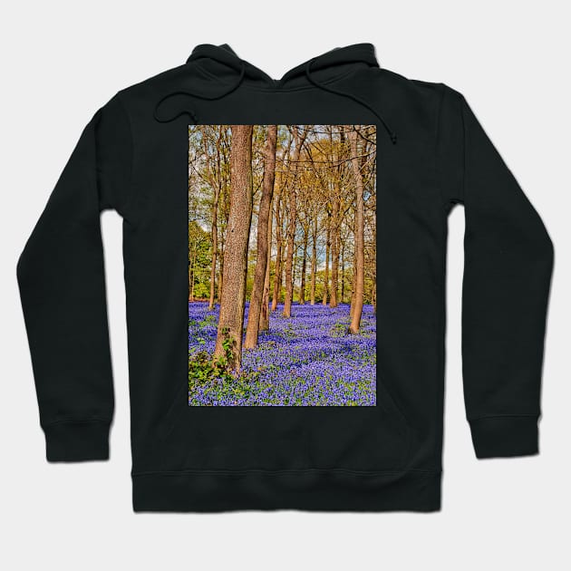 Bluebell Woods Greys Court Oxfordshire England Hoodie by AndyEvansPhotos
